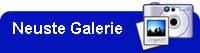 Neuste Galerie